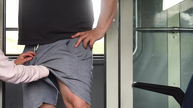 An unknown girl touches my dick in the train and then I jerk off in the bathroom.